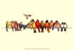 Bird Menagerie I by Wendy Russell