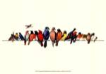 Bird Menagerie III by Wendy Russell