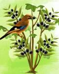 Bird on Plant by Ata Alishahi