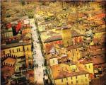 Bird's-eye Italy IV by Robert McClintock