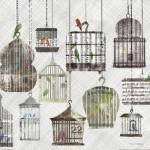 Birdcages Collage Square II by Maria Carluccio