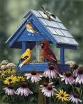 Birdhouse/Birds/Coneflower by William Vanderdasson
