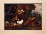Birds In A Park by Peter paul Rubens