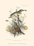 Birds in Nature I by J.G. Keuleman