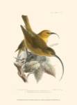 Birds in Nature II by J.G. Keuleman