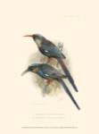 Birds in Nature III by J.G. Keuleman