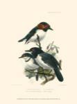 Birds in Nature IV by J.G. Keuleman