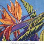 Birds of Paradise - Turquoise by Sally Evans