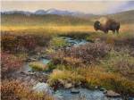Bison & Creek by Chris Vest