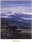 Black Bear by Don Balke