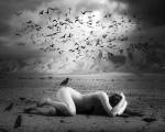 Black Bird Land by Ata Alishahi