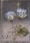 Black Botanical I by Emma Hill