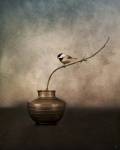 Black Capped Chickadee On A Vase by Jai Johnson