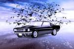Black Car by Ata Alishahi