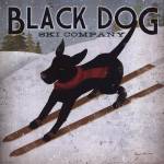 Black Dog Ski by Ryan Fowler