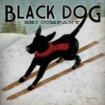 Black Dog Ski Co. by Ryan Fowler
