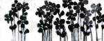 Black Flowers on White I by Norman Wyatt Jr.