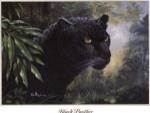 Black Panther by Don Balke