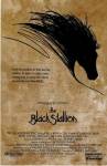 Black Stallion