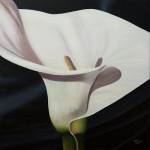 Black Tie Lily by Ellen Macioce