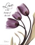 Blackberry Tulips, Love by Albert Koetsier