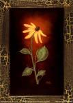 Blooming Daisy by Jessica Fries