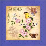 Blooming Garden III by Jane Maday