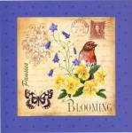 Blooming Garden IV by Jane Maday