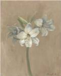 Blooms & Stems IV by Marietta Cohen
