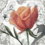 Blossom Montage I by Megan Meagher