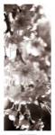 Blossom Triptych II by Renee Stramel
