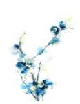 Blue Blossoms by CanotStop