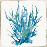 Blue Coral I by Aimee Wilson