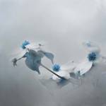 Blue Dogwood by Jai Johnson