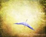 Blue Heron In The Light by Jai Johnson