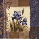 Blue Iris Scroll by Viv Bowles