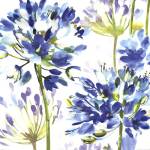 Blue Medley III by Wild Apple Portfolio