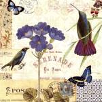 Blue Notes II by Pela