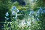 Blue Poppies by Peter Ellenshaw