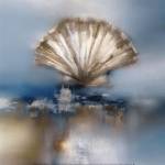 Blue Shores Clam by J.P. Prior