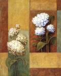 Blue & White Hydrangea by Xavier