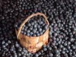 Blueberries at Market, Helsinki, Finland by Panoramic Images