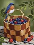 Blueberry Basket by William Vanderdasson
