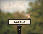 Bluebird At Cloud Field by Jai Johnson