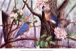 Bluebirds by Al Dornish