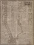 Blueprint Map New York Taupe by Sue Schlabach