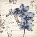 Blushing Blue II - Mini by Aimee Wilson