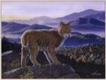 Bobcat by Don Balke
