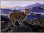 Bobcat by Don Balke