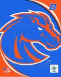 Boise St. University Broncos Team Logo